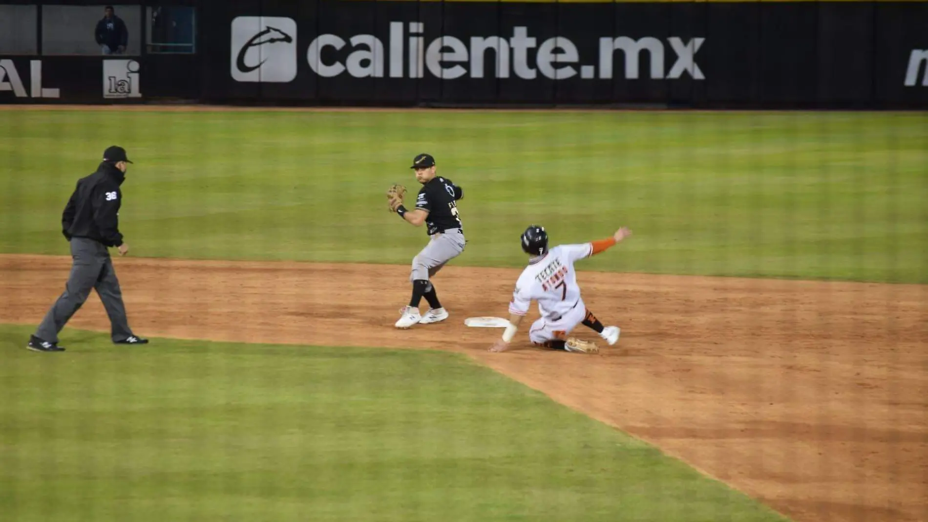 Sultanes                  (Carlos Villalba)